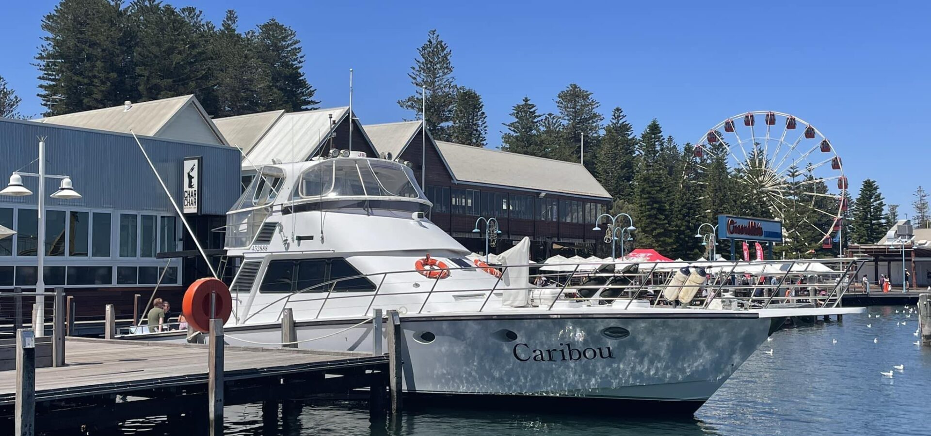 https://cariboucharters.com.au/wp-content/uploads/2023/06/boat-2-1920x900.jpg